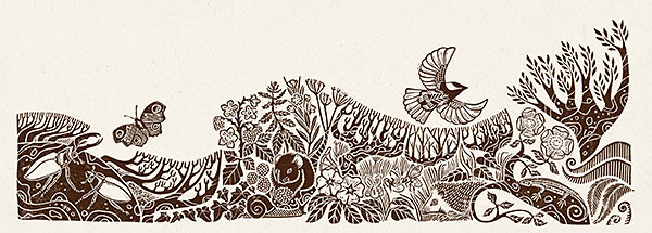 illustration of plants, birds and butterflies